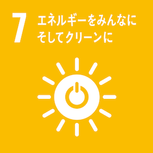 SDGs07